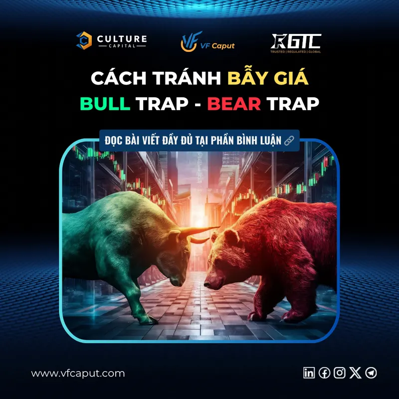 Cách tránh bẫy giá: Bull Trap – Bear Trap