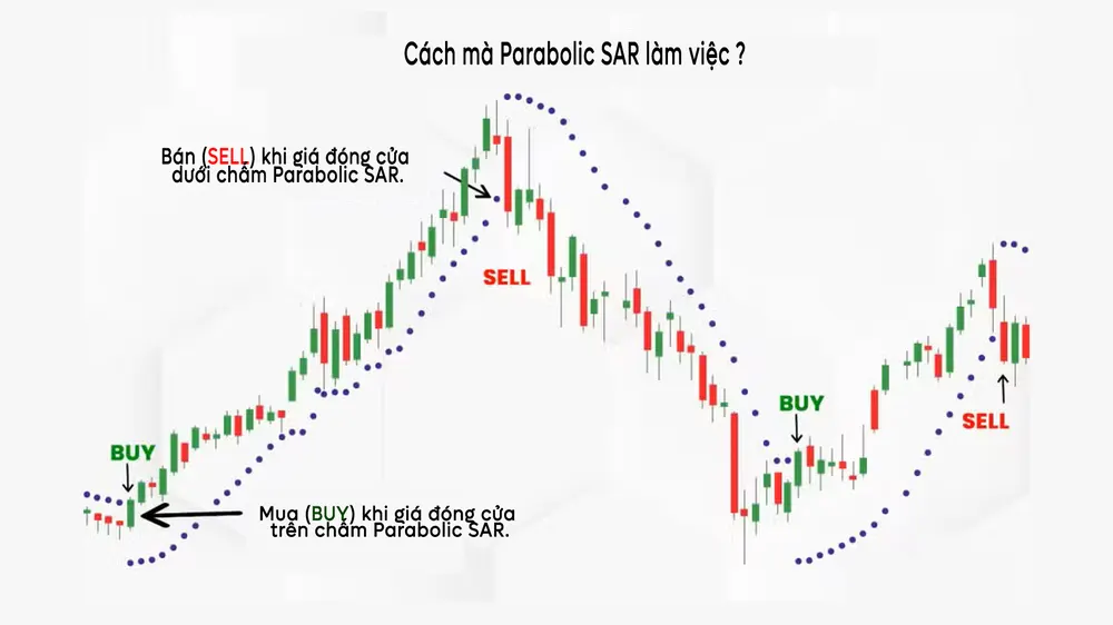 Minh họa cách sử dụng Parabolic SAR: BUY khi giá đóng cửa trên chấm SAR và SELL khi giá đóng cửa dưới chấm SAR – giúp xác nhận xu hướng và tìm điểm vào lệnh rõ ràng.